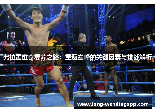 弗拉霍维奇复苏之路：重返巅峰的关键因素与挑战解析