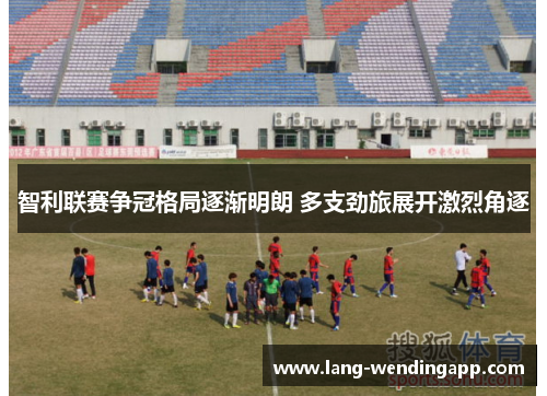 智利联赛争冠格局逐渐明朗 多支劲旅展开激烈角逐