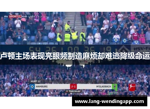 卢顿主场表现亮眼频制造麻烦却难逃降级命运