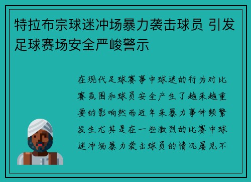 特拉布宗球迷冲场暴力袭击球员 引发足球赛场安全严峻警示
